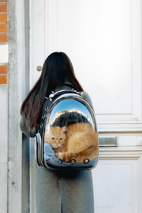 Shop clear backpacks: stylish and functional options await you